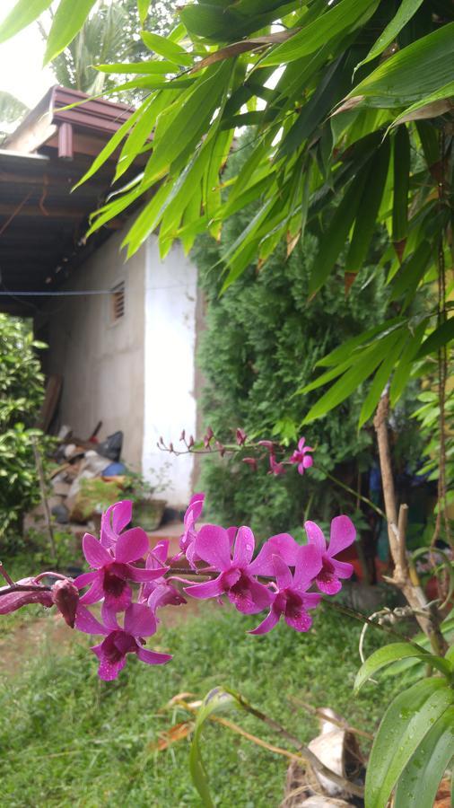 Ananda Home Stay And Restaurant แทนกาลเล ภายนอก รูปภาพ